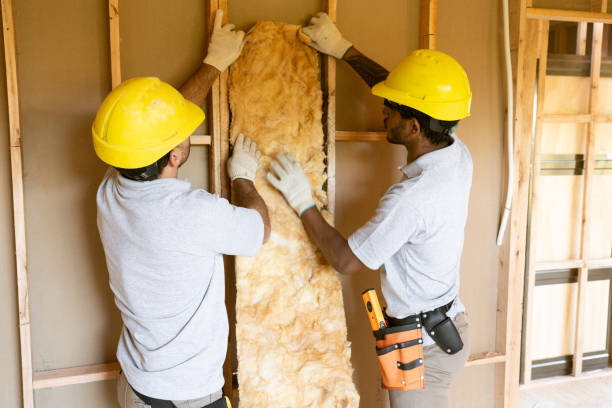 Best Crawl Space Insulation in Harvey, LA